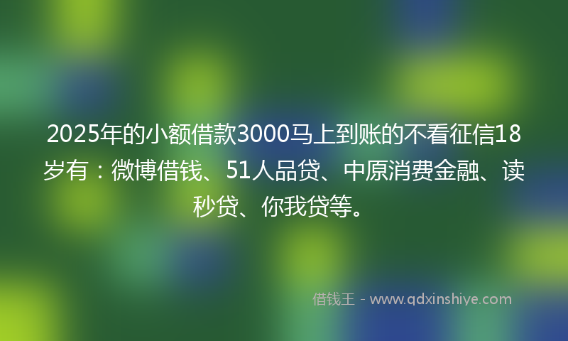2025年的小额借款3000马上到账的不看征信18岁有：微博借钱、51人品贷、中原消费金融、读秒贷、你我贷等。