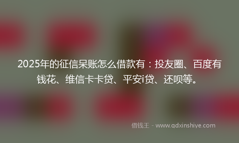 2025年的征信呆账怎么借款有：投友圈、百度有钱花、维信卡卡贷、平安i贷、还呗等。