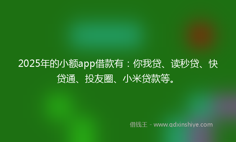 2025年的小额app借款有：你我贷、读秒贷、快贷通、投友圈、小米贷款等。