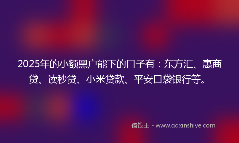 2025年的小额黑户能下的口子有：东方汇、惠商贷、读秒贷、小米贷款、平安口袋银行等。