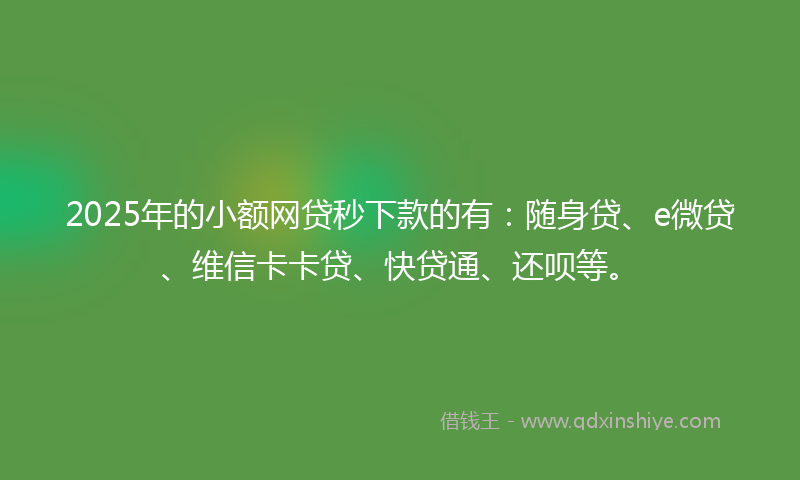 2025年的小额网贷秒下款的有：随身贷、e微贷、维信卡卡贷、快贷通、还呗等。