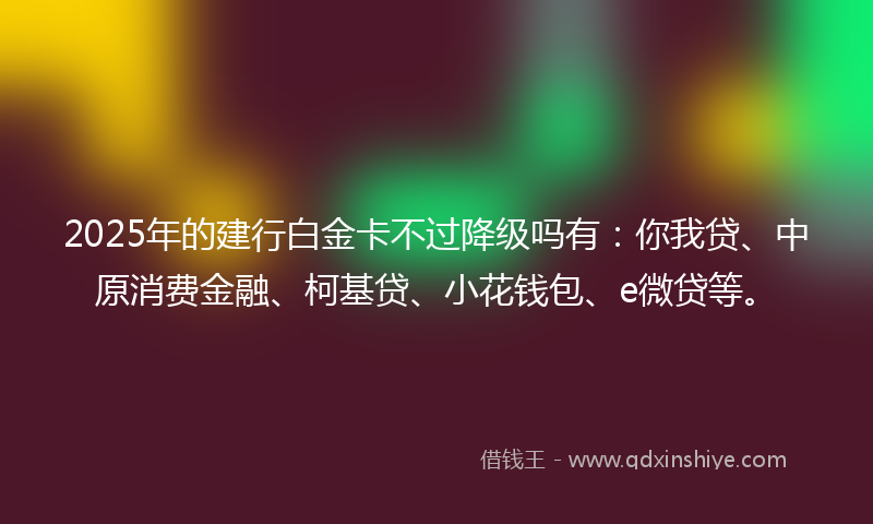 2025年的建行白金卡不过降级吗有：你我贷、中原消费金融、柯基贷、小花钱包、e微贷等。
