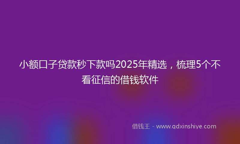 小额口子贷款秒下款吗2025年精选，梳理5个不看征信的借钱软件