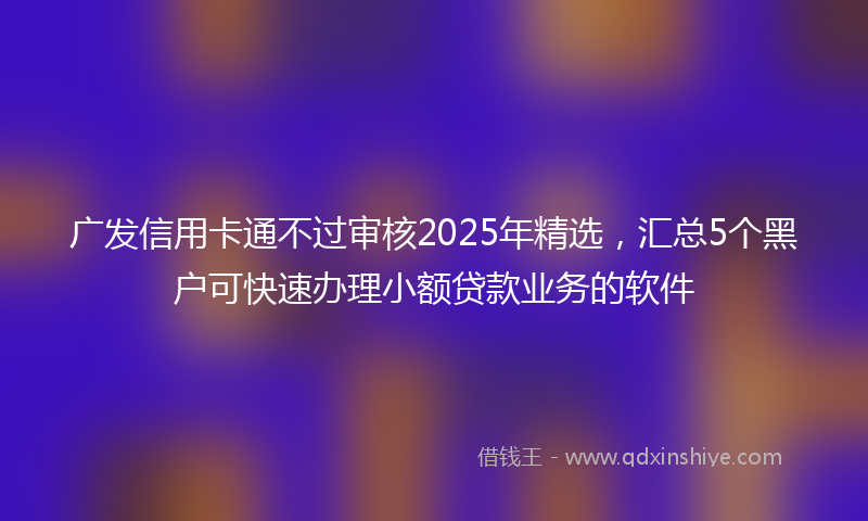 广发信用卡通不过审核2025年精选，汇总5个黑户可快速办理小额贷款业务的软件