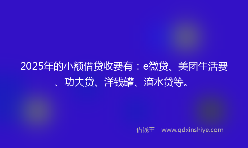 2025年的小额借贷收费有：e微贷、美团生活费、功夫贷、洋钱罐、滴水贷等。