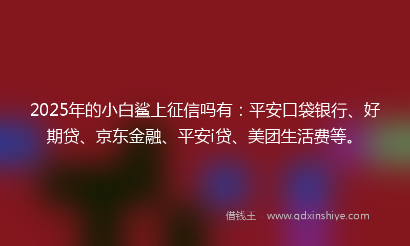 2025年的小白鲨上征信吗有：平安口袋银行、好期贷、京东金融、平安i贷、美团生活费等。