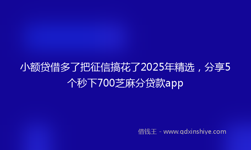 小额贷借多了把征信搞花了2025年精选，分享5个秒下700芝麻分贷款app