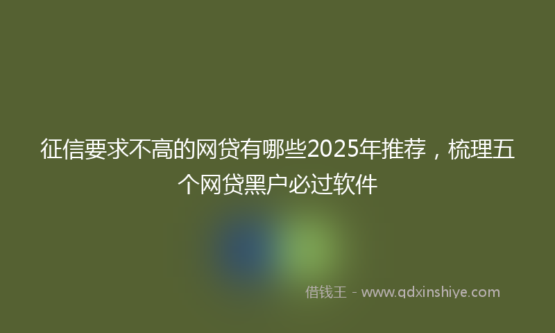 征信要求不高的网贷有哪些2025年推荐，梳理五个网贷黑户必过软件