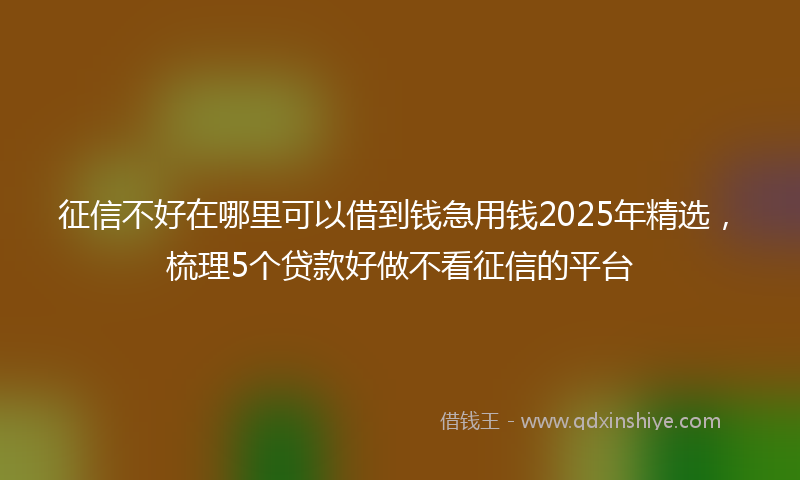 征信不好在哪里可以借到钱急用钱2025年精选，梳理5个贷款好做不看征信的平台