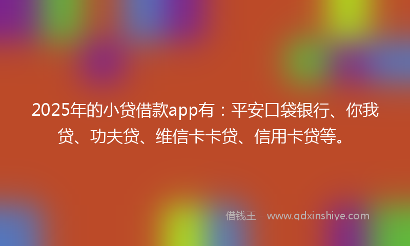 2025年的小贷借款app有：平安口袋银行、你我贷、功夫贷、维信卡卡贷、信用卡贷等。