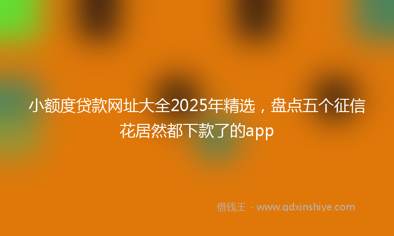 小额度贷款网址大全2025年精选，盘点五个征信花居然都下款了的app