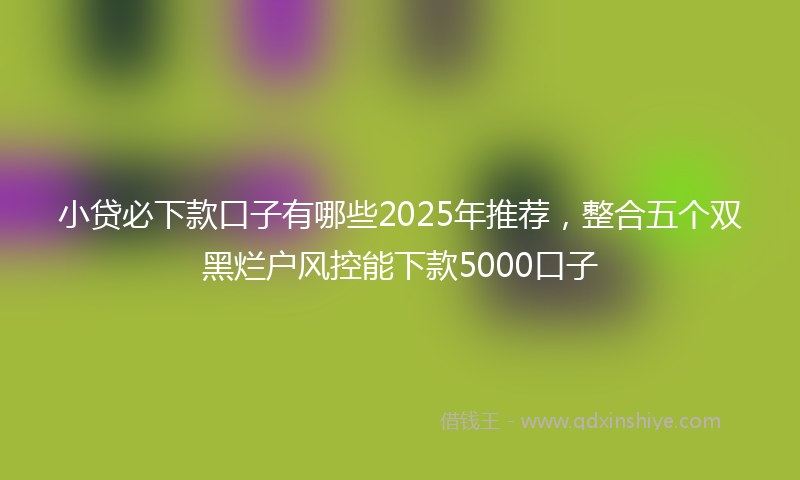 小贷必下款口子有哪些2025年推荐，整合五个双黑烂户风控能下款5000口子