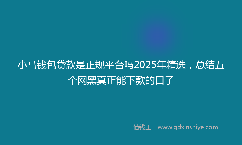 小马钱包贷款是正规平台吗2025年精选，总结五个网黑真正能下款的口子