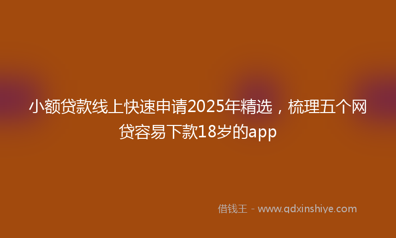 小额贷款线上快速申请2025年精选，梳理五个网贷容易下款18岁的app