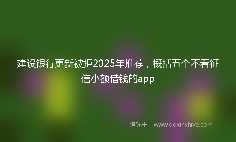 建设银行更新被拒2025年推荐，概括五个不看征信小额借钱的app