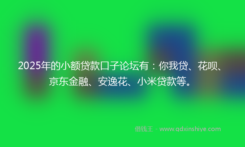 2025年的小额贷款口子论坛有：你我贷、花呗、京东金融、安逸花、小米贷款等。
