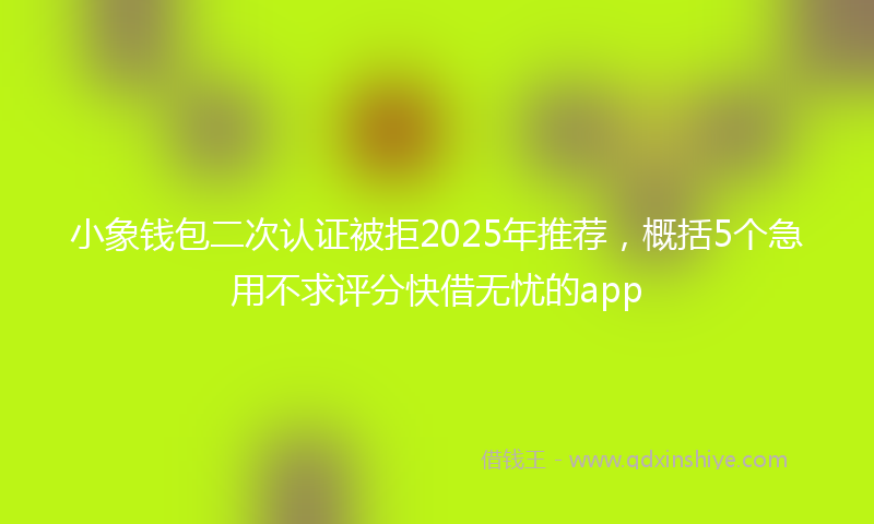 小象钱包二次认证被拒2025年推荐，概括5个急用不求评分快借无忧的app