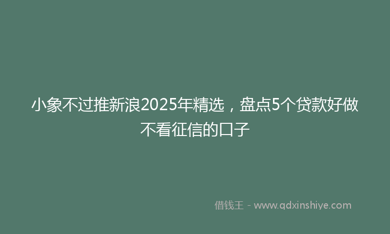 小象不过推新浪2025年精选，盘点5个贷款好做不看征信的口子