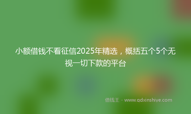 小额借钱不看征信2025年精选，概括五个5个无视一切下款的平台