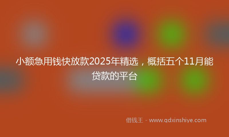 小额急用钱快放款2025年精选，概括五个11月能贷款的平台