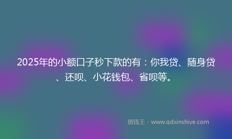 2025年的小额口子秒下款的有：你我贷、随身贷、还呗、小花钱包、省呗等。