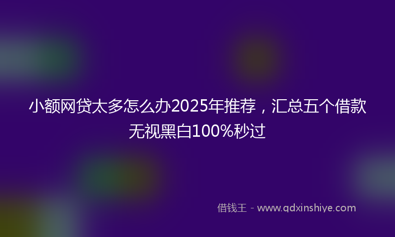小额网贷太多怎么办2025年推荐，汇总五个借款无视黑白100%秒过