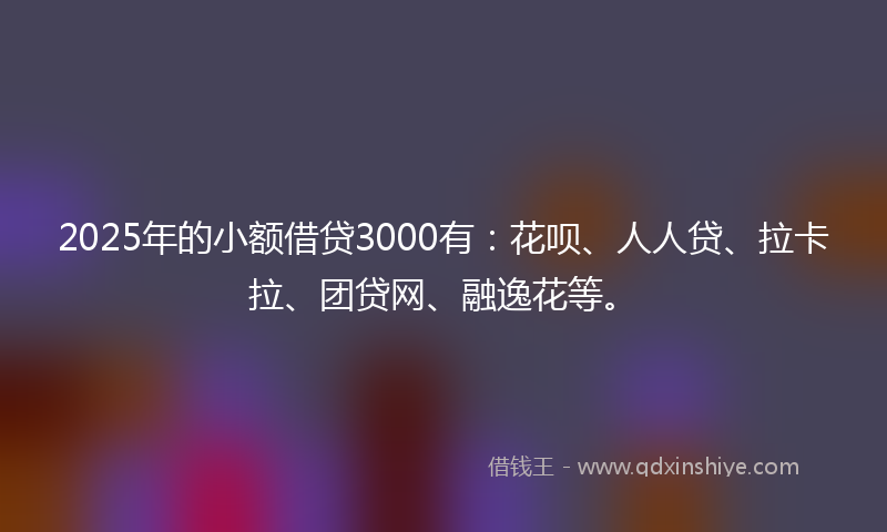 2025年的小额借贷3000有：花呗、人人贷、拉卡拉、团贷网、融逸花等。