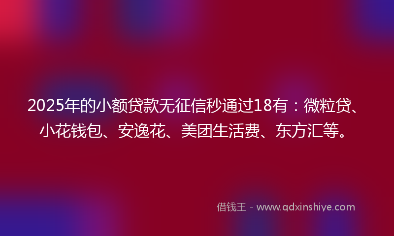 2025年的小额贷款无征信秒通过18有：微粒贷、小花钱包、安逸花、美团生活费、东方汇等。