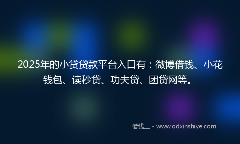 2025年的小贷贷款平台入口有：微博借钱、小花钱包、读秒贷、功夫贷、团贷网等。