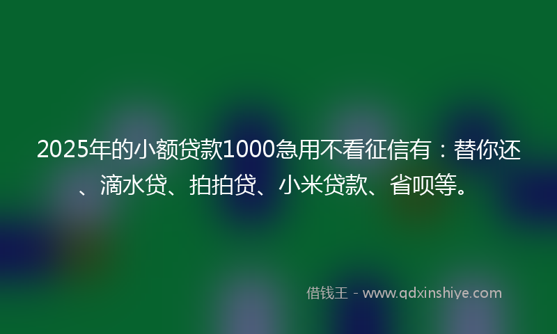 2025年的小额贷款1000急用不看征信有：替你还、滴水贷、拍拍贷、小米贷款、省呗等。