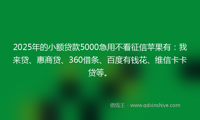 2025年的小额贷款5000急用不看征信苹果有：我来贷、惠商贷、360借条、百度有钱花、维信卡卡贷等。