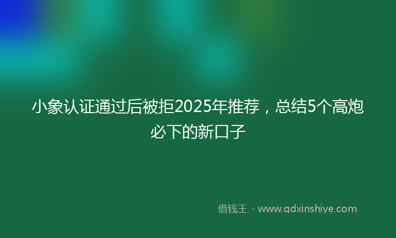 小象认证通过后被拒2025年推荐，总结5个高炮必下的新口子
