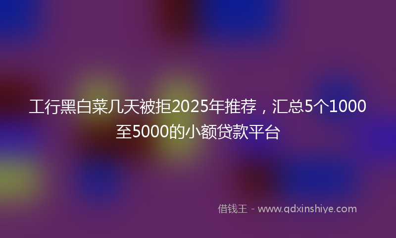 工行黑白菜几天被拒2025年推荐，汇总5个1000至5000的小额贷款平台