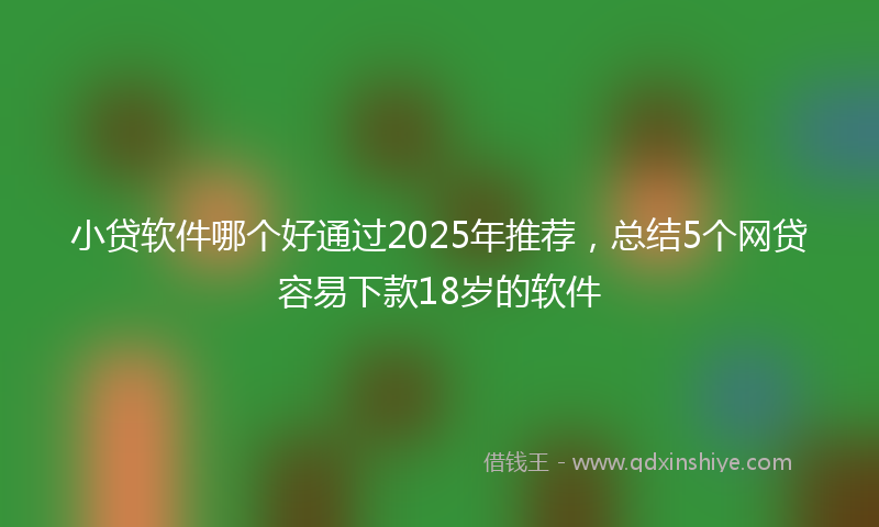 小贷软件哪个好通过2025年推荐，总结5个网贷容易下款18岁的软件