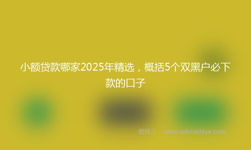 小额贷款哪家2025年精选，概括5个双黑户必下款的口子