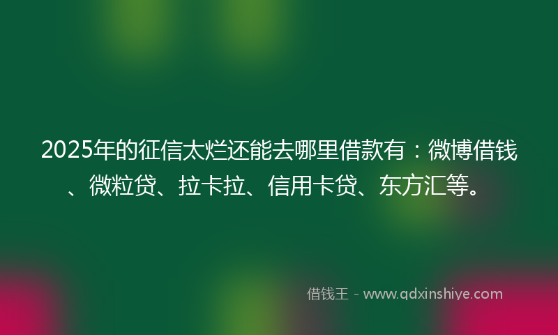 2025年的征信太烂还能去哪里借款有：微博借钱、微粒贷、拉卡拉、信用卡贷、东方汇等。