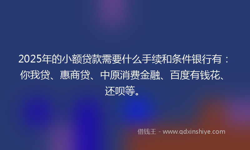 2025年的小额贷款需要什么手续和条件银行有：你我贷、惠商贷、中原消费金融、百度有钱花、还呗等。