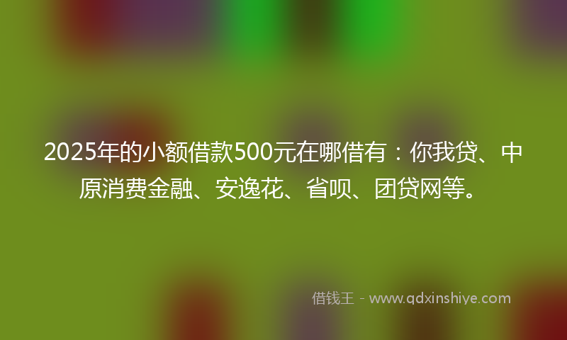 2025年的小额借款500元在哪借有：你我贷、中原消费金融、安逸花、省呗、团贷网等。