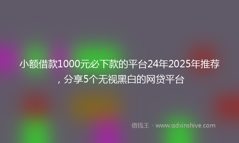 小额借款1000元必下款的平台24年2025年推荐，分享5个无视黑白的网贷平台