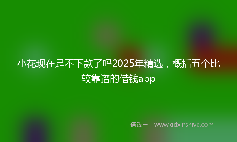 小花现在是不下款了吗2025年精选，概括五个比较靠谱的借钱app