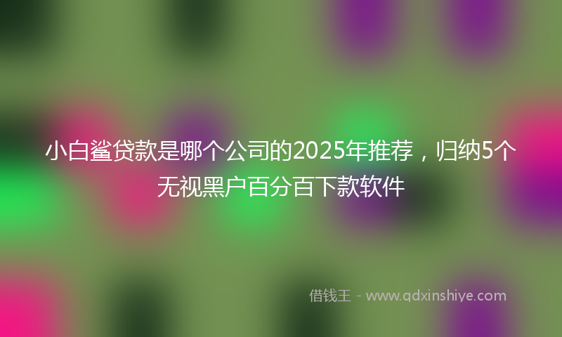 小白鲨贷款是哪个公司的2025年推荐，归纳5个无视黑户百分百下款软件