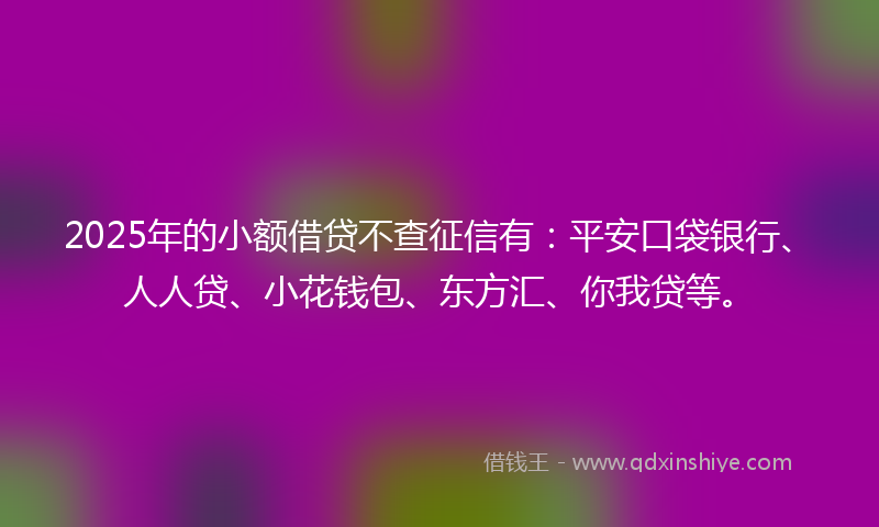 2025年的小额借贷不查征信有：平安口袋银行、人人贷、小花钱包、东方汇、你我贷等。