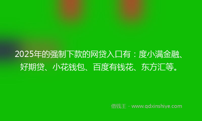 2025年的强制下款的网贷入口有：度小满金融、好期贷、小花钱包、百度有钱花、东方汇等。