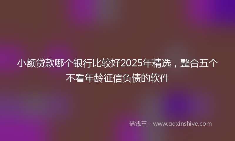 小额贷款哪个银行比较好2025年精选，整合五个不看年龄征信负债的软件