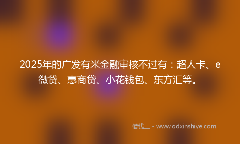 2025年的广发有米金融审核不过有：超人卡、e微贷、惠商贷、小花钱包、东方汇等。