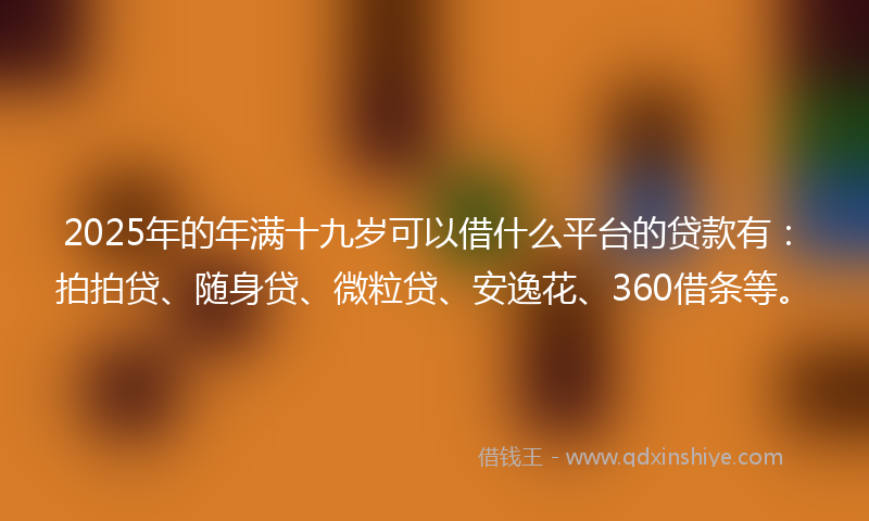 2025年的年满十九岁可以借什么平台的贷款有：拍拍贷、随身贷、微粒贷、安逸花、360借条等。