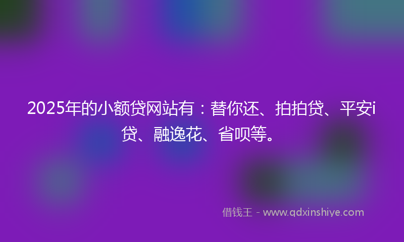 2025年的小额贷网站有：替你还、拍拍贷、平安i贷、融逸花、省呗等。