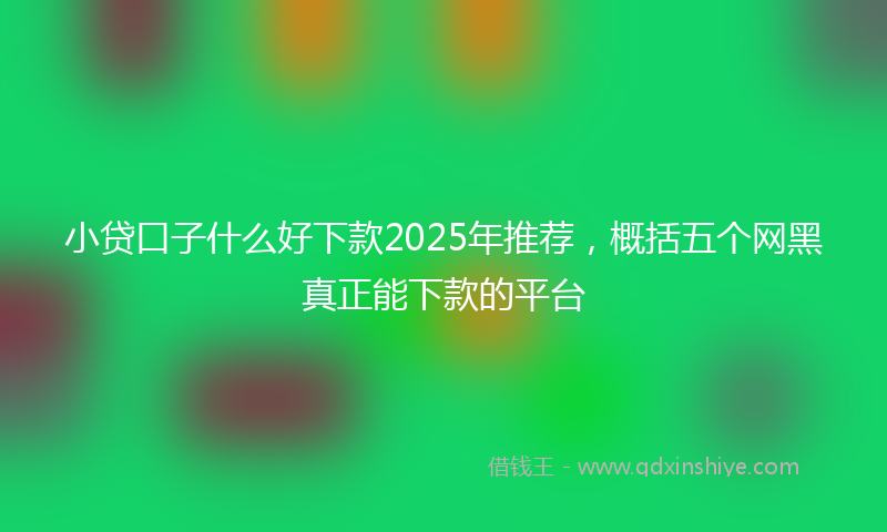 小贷口子什么好下款2025年推荐，概括五个网黑真正能下款的平台