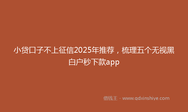 小贷口子不上征信2025年推荐，梳理五个无视黑白户秒下款app
