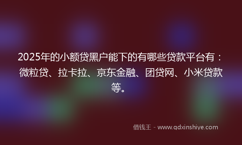 2025年的小额贷黑户能下的有哪些贷款平台有：微粒贷、拉卡拉、京东金融、团贷网、小米贷款等。